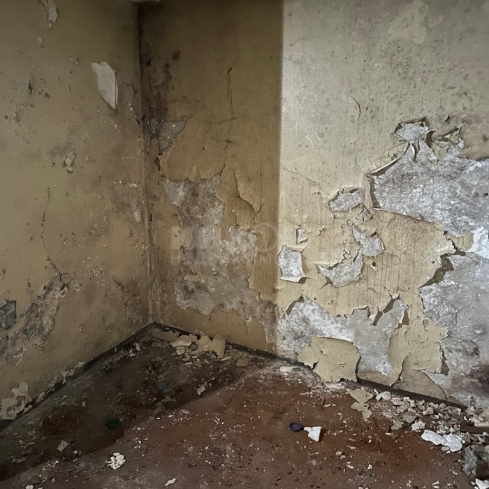 Фото Помещение 25м2 кв. Молодежный рн. Папа Карло