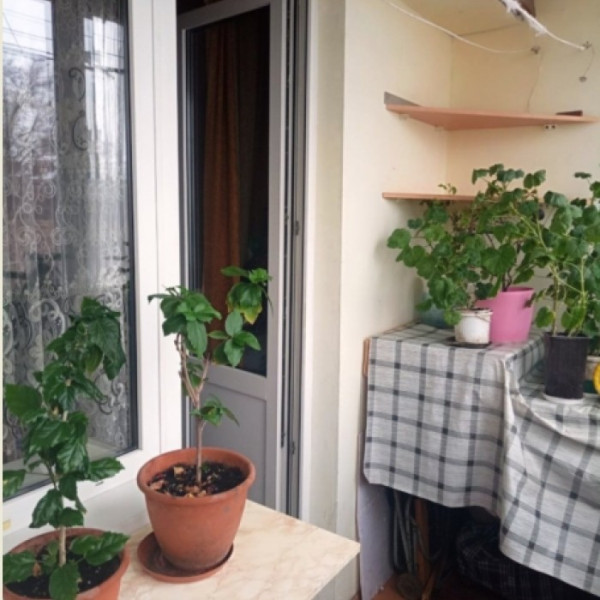 Фото № 7077 Продам 3х комн. квартиру в р-не Депо-4