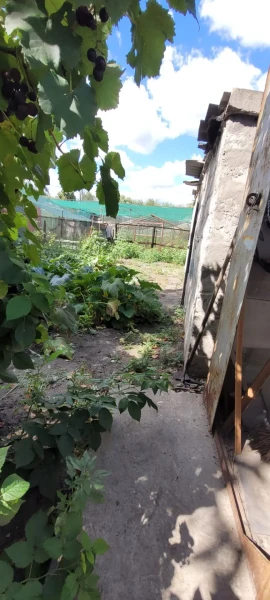 Фото Продаётся дом, 35 м²