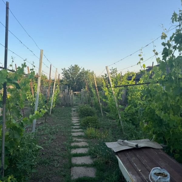 Фото Продам Пол Дома 98.30 м2 Станица Луганская