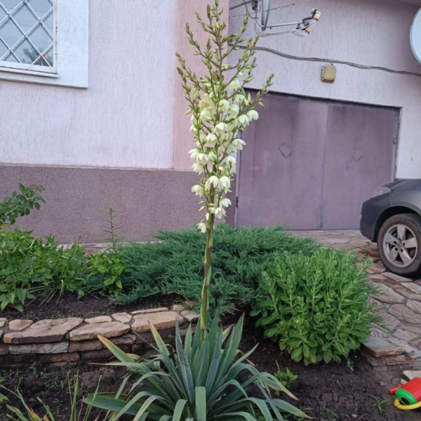 Фото Продам дом 290м2