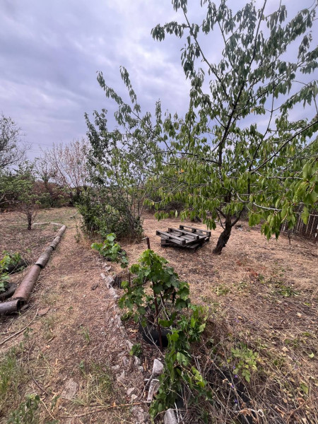 Фото Дом с. Хрящеватое