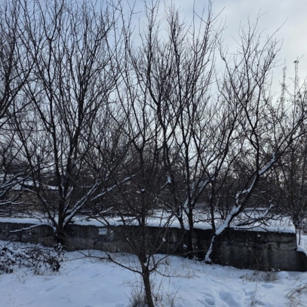 Фото Продам участок по ул. Звейника