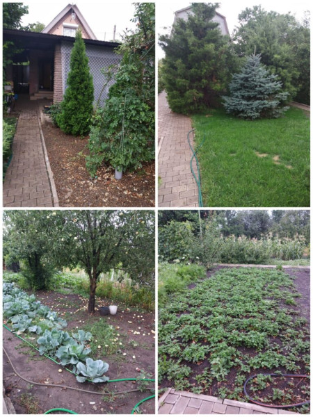 Фото Дача СНТ Металлург-2#1536