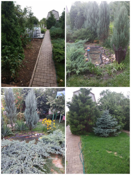 Фото Дача СНТ Металлург-2#1536