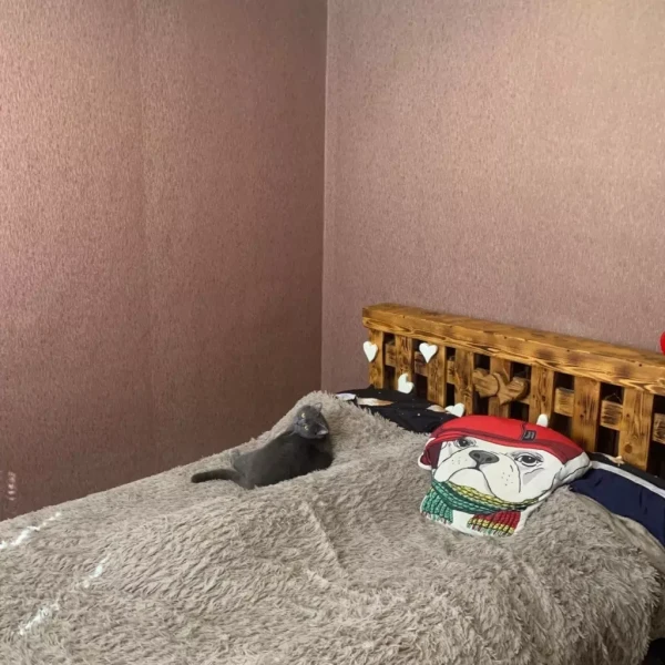 2-к квартира г. Алчевск#1019