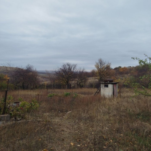 Фото № 6873 Продам дом в Перевальске