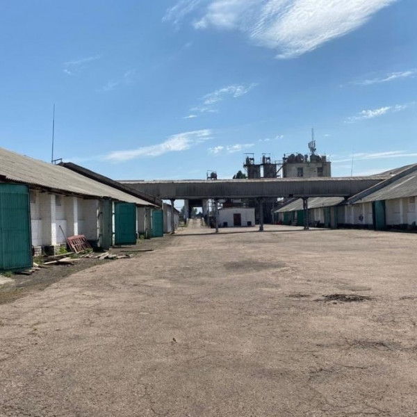 Фото Ток для обработки зерновых