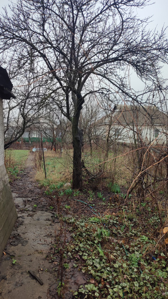 Фото №701 Продается дом в г. Перевальске, район Автовокзала