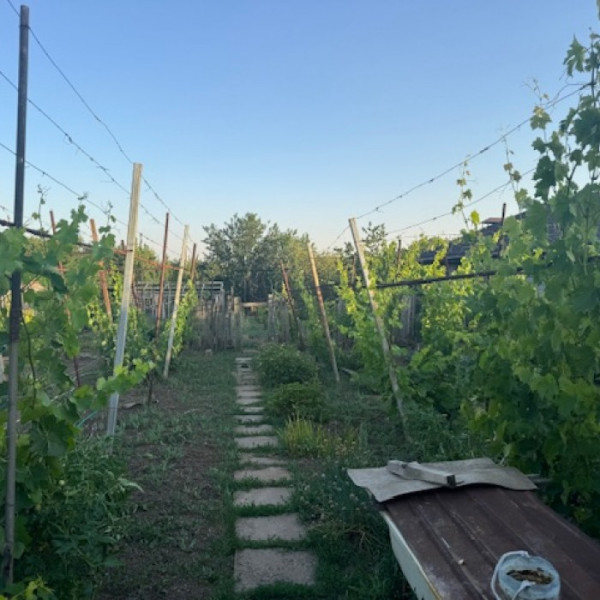 Фото Продам дом 98м2 в пос. Николаевка