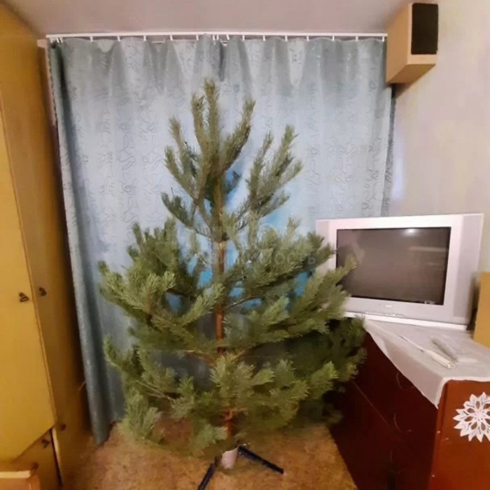 Фото Продам 3-х комн квартиру в г Луганск кв Гаевого