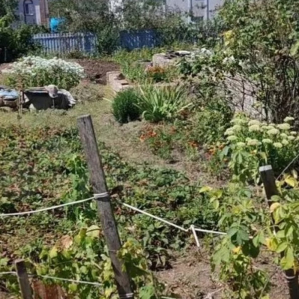 Продам участок 6 соток в г.Луганск ул. Муромская