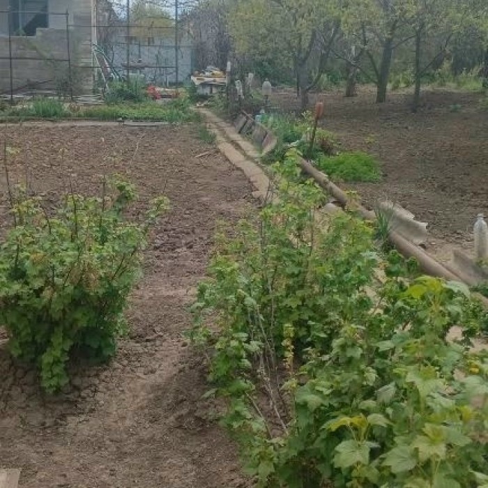 Фото Дача г. Лутугино СНТ”Шахтер”