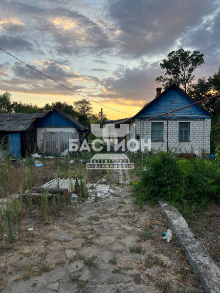 Фото Дом. село Пшеничное ID:1917584