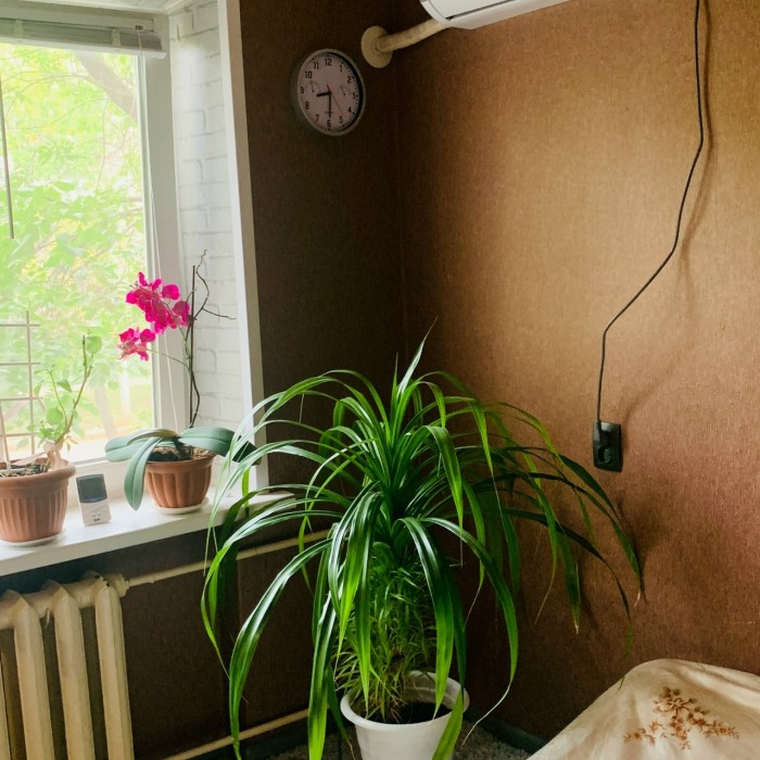 Фото Продам 2х комн. квартиру в р-не маг. "Рина"