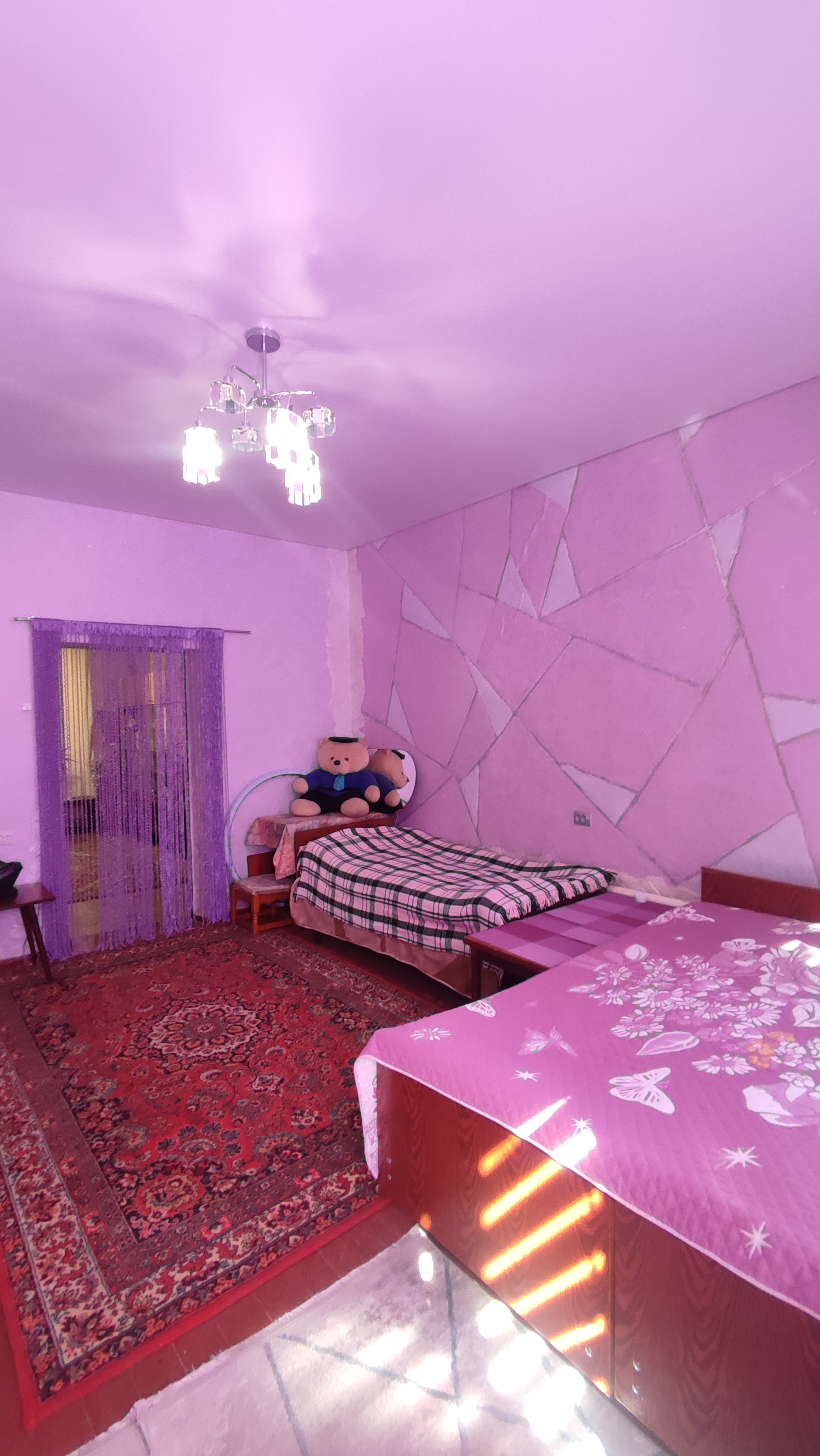 Фото №1112, Продается дом по ул. Энтузиастов