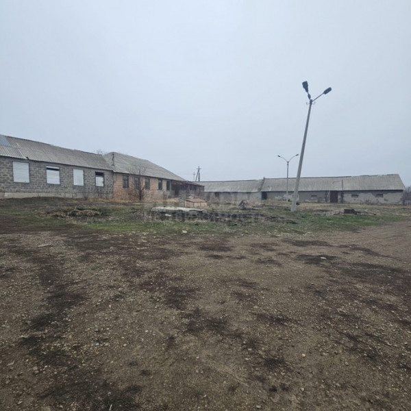 Фото Продам Маслобойню (подсолнечника) г. Краснодон