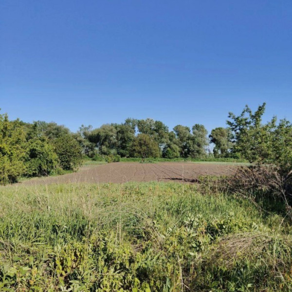 Продам дом с земельным участком в Роскошном по ул. Интернациональной