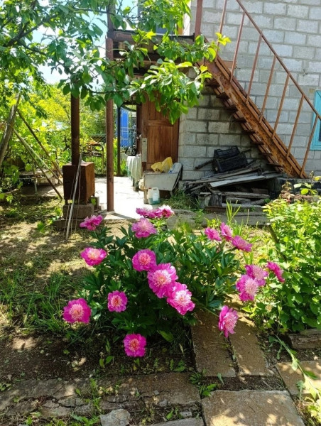 Фото Дача СНТ Химик-1