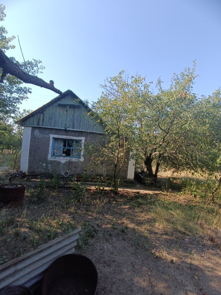 Фото № 1175 Продаются два смежных дачных участка в садоводческом товариществе «Металлург-3».
