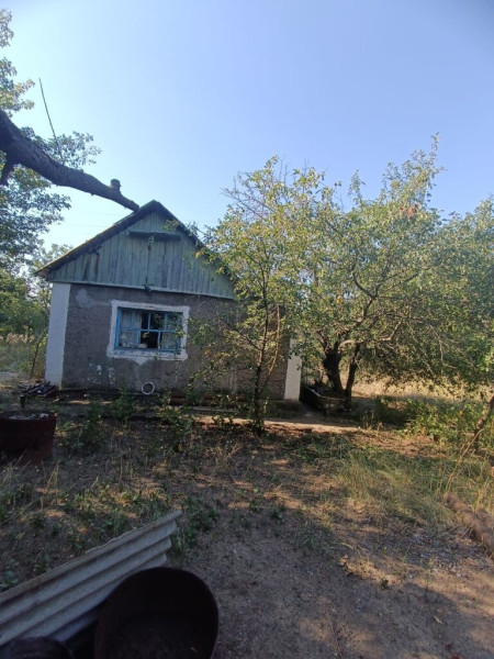 Фото № 1175 Продаются два смежных дачных участка в садоводческом товариществе «Металлург-3».