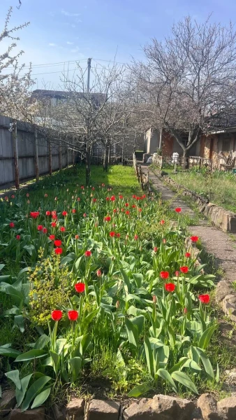 Фото Продаётся домом в городе Стаханов, ул. Комсомольская.