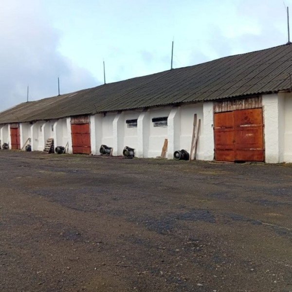 Фото Элеваторный Комплекс