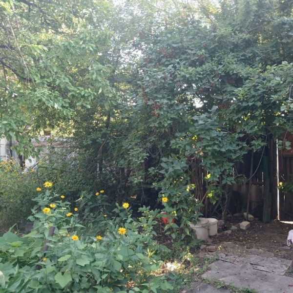 Фото Продам дом в г Луганск ул Джамбула р-н Будённого