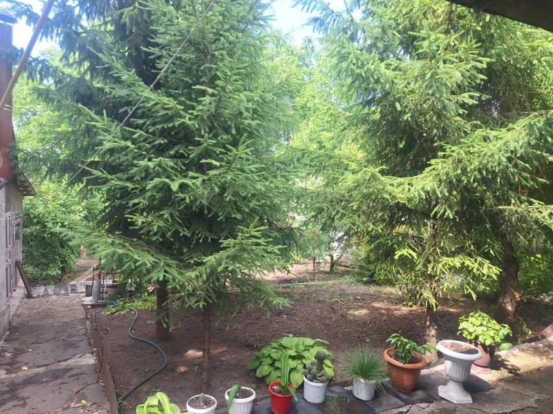 Фото Продаётся 3-комнатный дом в городе Брянка (Криворожье), ул. Суворова.