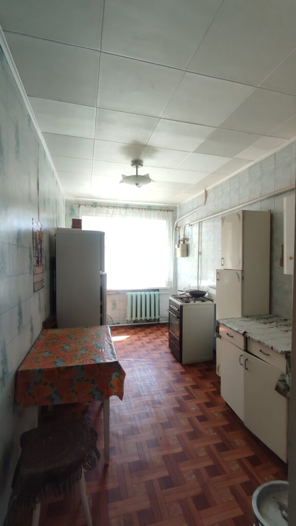 Фото №865 Продается добротный дом в г. Алчевске, Карпаты
