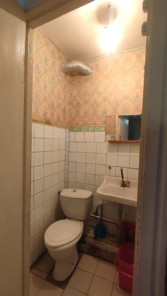 Фото №865 Продается добротный дом в г. Алчевске, Карпаты