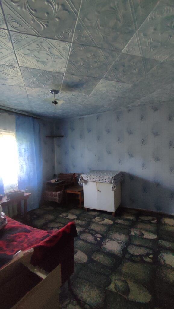 Фото №865 Продается добротный дом в г. Алчевске, Карпаты