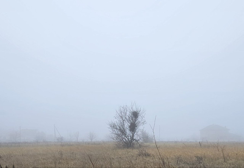 Продам участок, на Видном (г.Луганск) ул. Винницкая