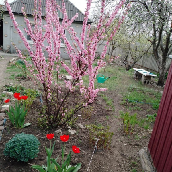 Продам дом в Камброде (район к-ра "Родина")