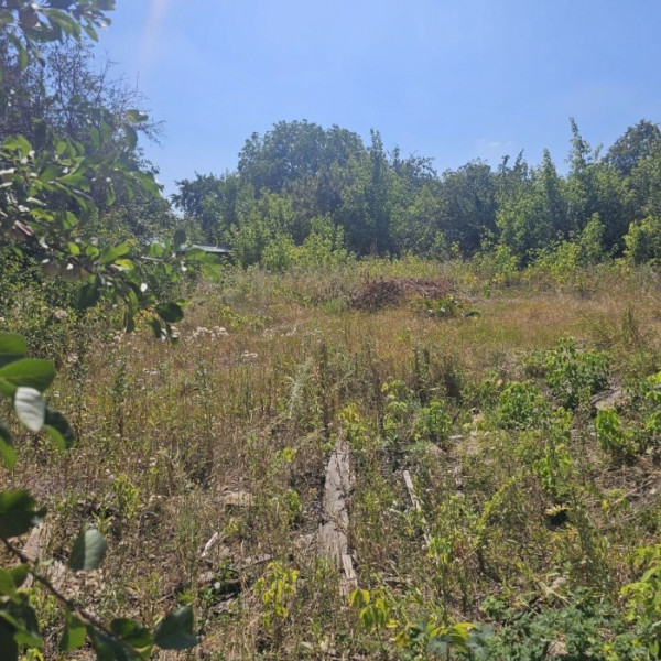 № 6659 Продам участок в Перевальске