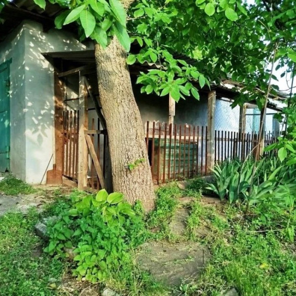Фото 7399 Продам дом в Перевальске