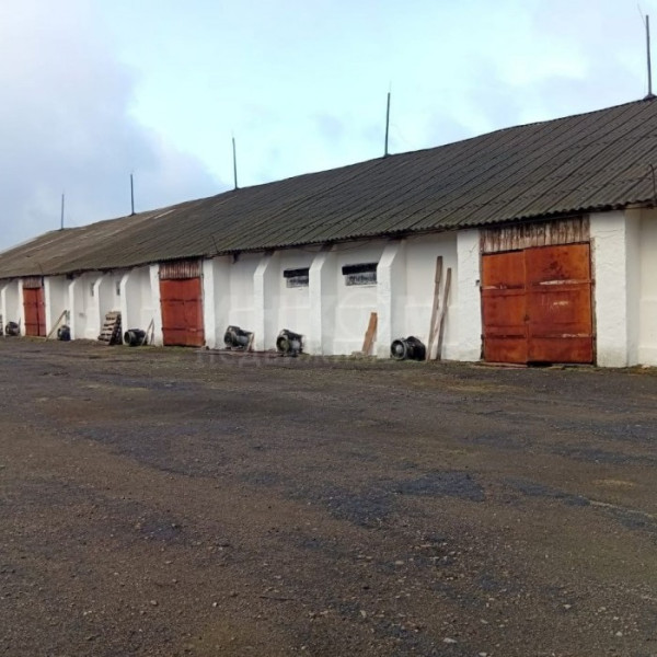 Фото Элеваторный Комплекс