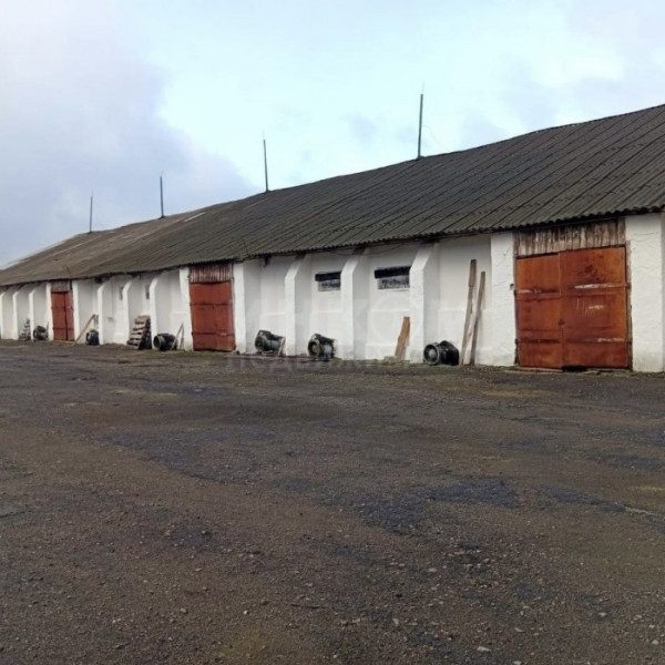 Фото Продам элеваторный комплекс в ЛНР