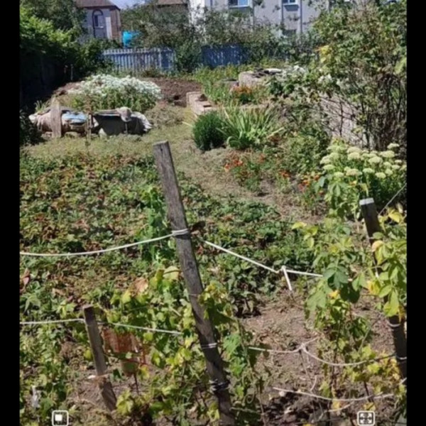 Продам участок 6 соток в г. Луганск ул. Муромская