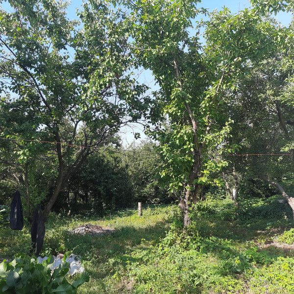 Фото №405 Продаётся Дом, ул. Заслонова. Шанхай