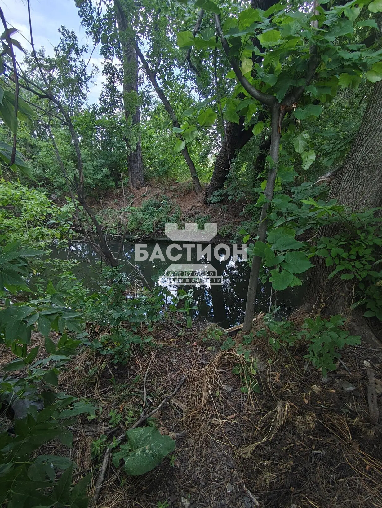 Фото Дом, Россия , Муниципальный округ Лутугинский, посёлок городского типа Белое, Свердлова, 36, ID:2248884