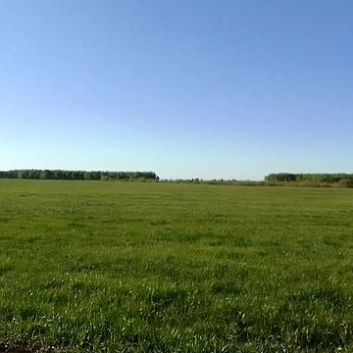 Фото Продам приватизированный земельный пай сельскохозяйственного назначения. Станично- Луганский р- н, с. Красная Таловка
