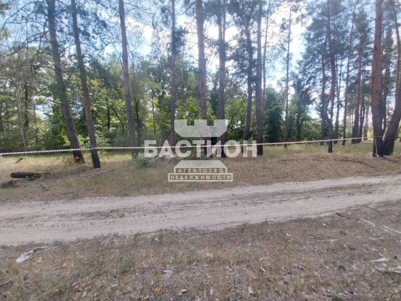 Фото Земельный участок,Россия муниципальный округ Станично Луганское село Макарово ул. Речная ID:2086273
