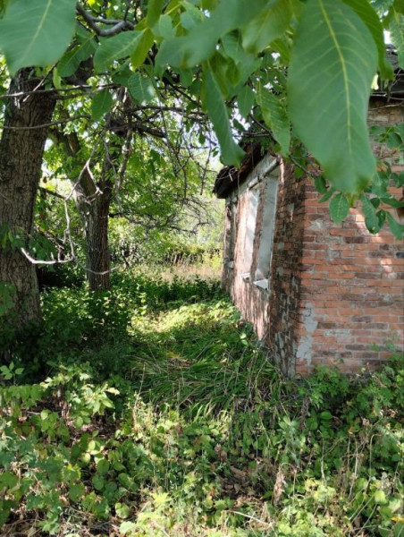 #1953, Дом в Перевальске