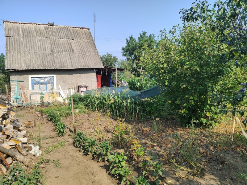 Фото Дача №3005567