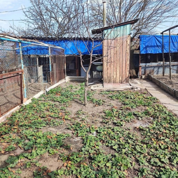 Фото Продам 2-х этажный дом в городе Луганск п. Екатериновка