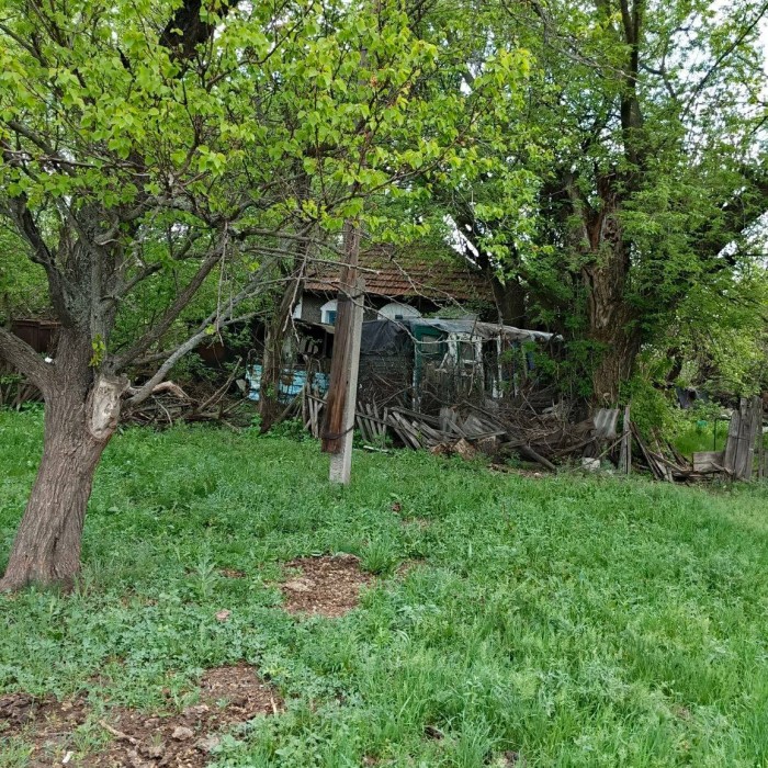 Фото Продам земельный участок с ветхим домом Славяносербский р-н, с. Замостье, ул. Интернациональная, 31
