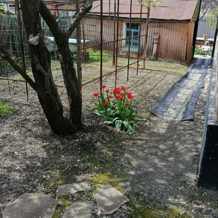 Фото Продаётся жилой дом в центре Луганска, район Динамо, ул. Профессиональная.