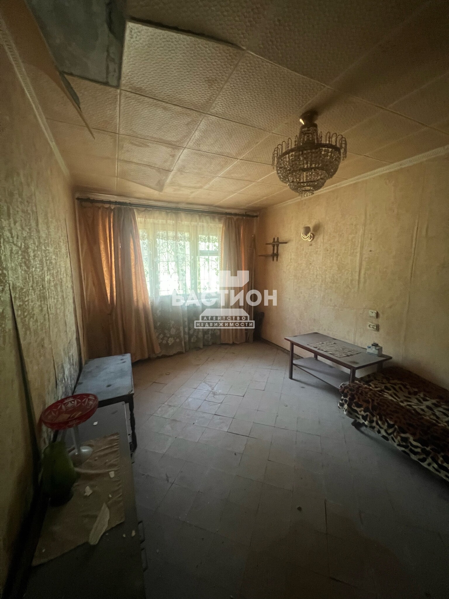 Фото 1-комнатная квартира,квартал Дружбы 4 ID:2245674