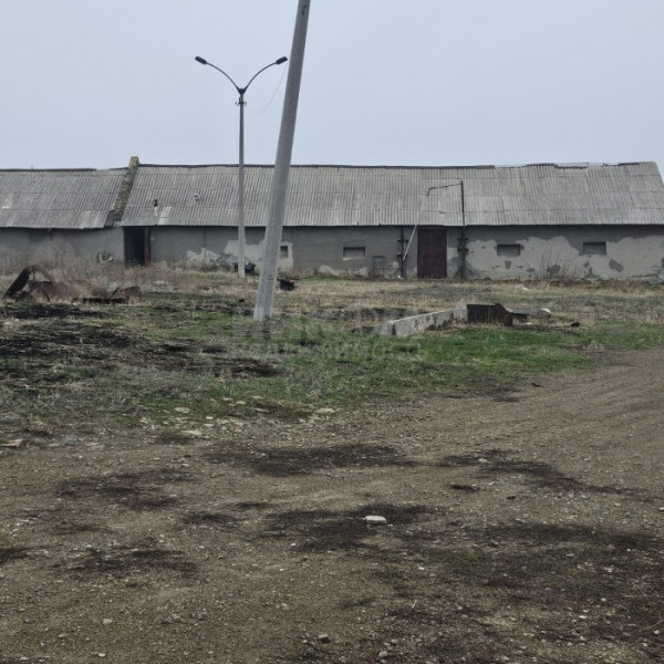 Фото Продам маслобойню г. Краснодон, Луганская область